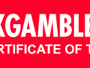 Sistemas Seguros logo